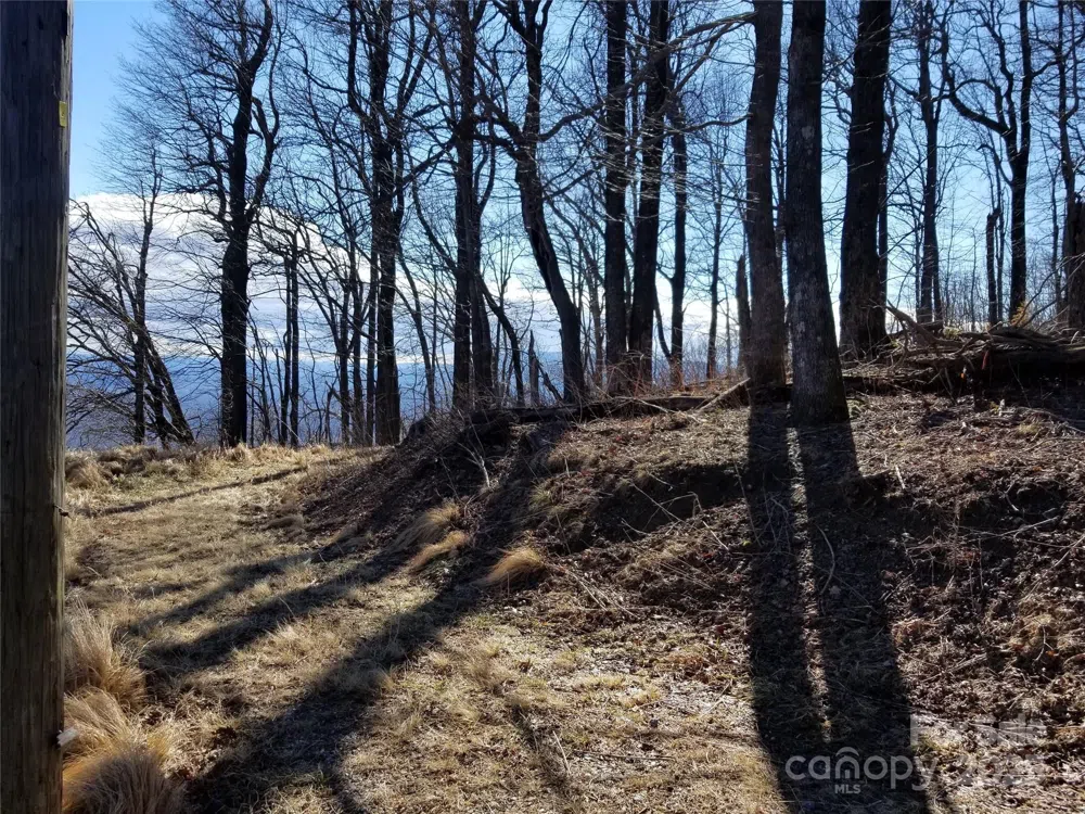 1.1 Acre Blockaders Den Road Columbus, NC 28722