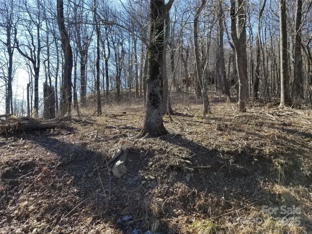 1.1 Acre Blockaders Den Road Columbus, NC 28722