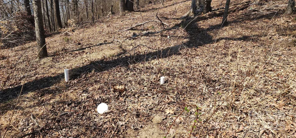 1.1 Acre Blockaders Den Road Columbus, NC 28722