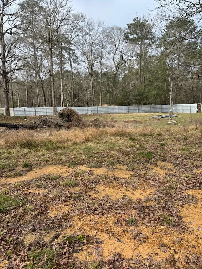 41 Deer Run Rd Shepherd, TX 77371