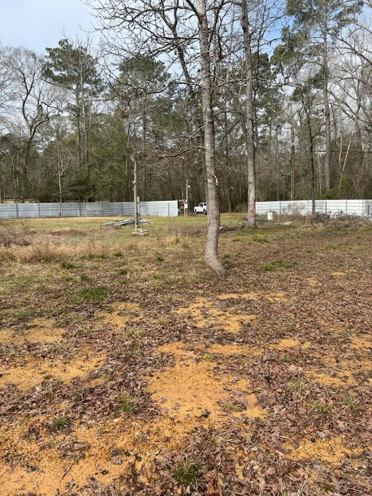 41 Deer Run Rd Shepherd, TX 77371