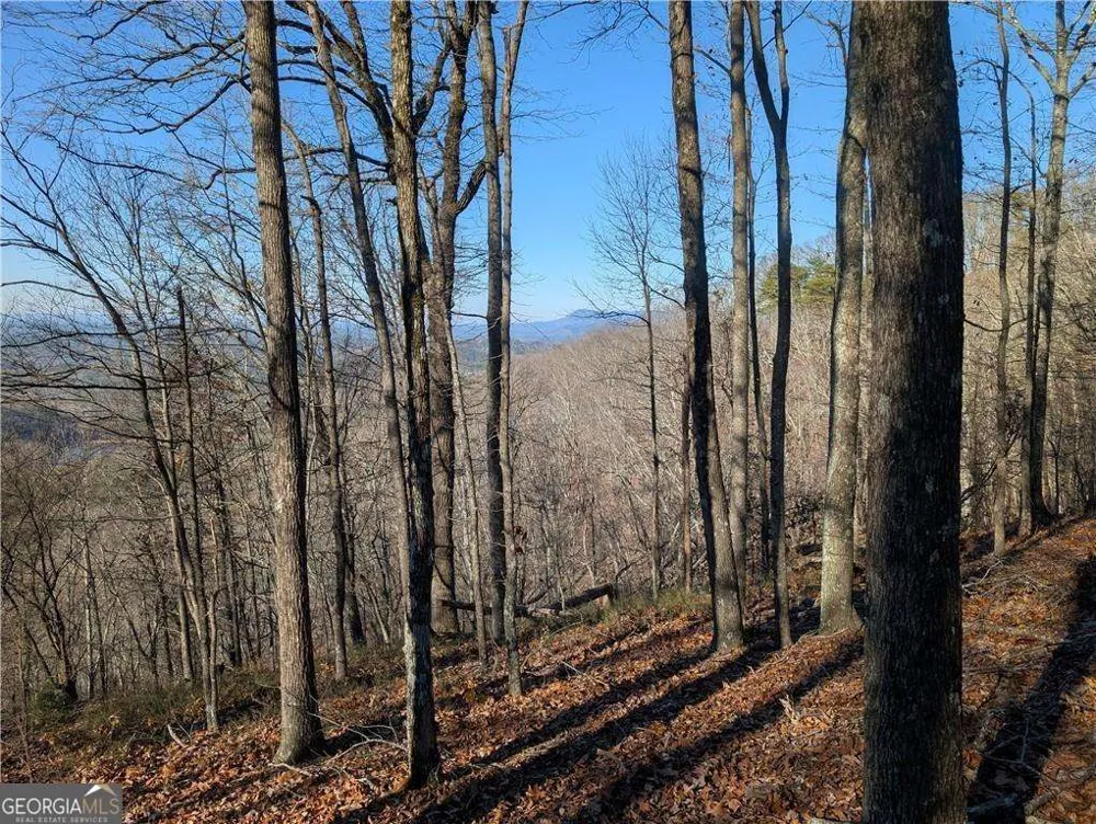 234 Stirratt RD Ranger, GA 30734