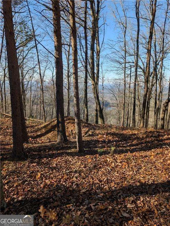 234 Stirratt RD Ranger, GA 30734