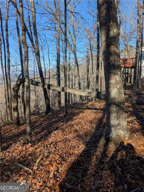 234 Stirratt RD Ranger, GA 30734