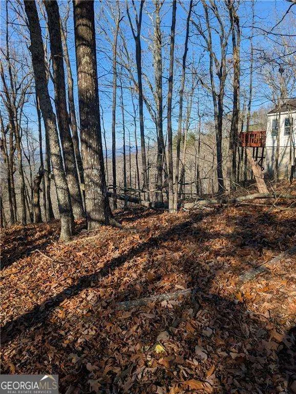 234 Stirratt RD Ranger, GA 30734