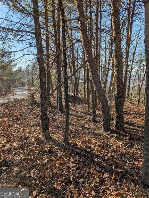 234 Stirratt RD Ranger, GA 30734