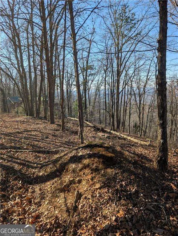 234 Stirratt RD Ranger, GA 30734
