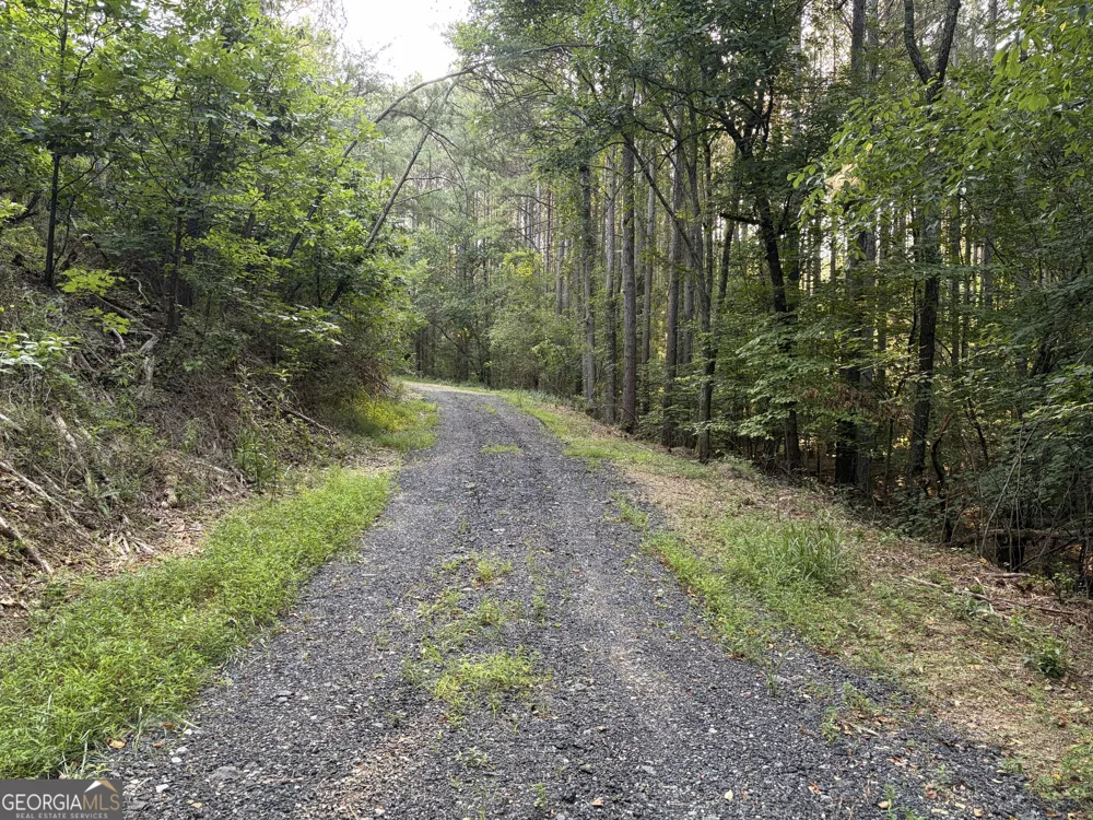 0 Fairmount Highway Fairmount, GA 30139
