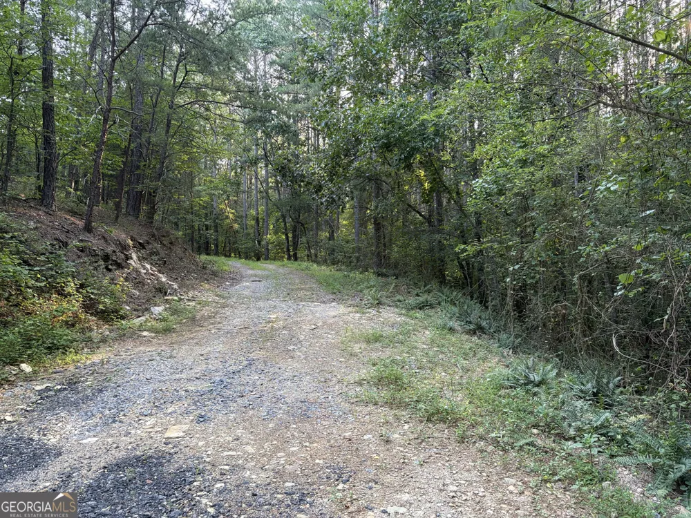 0 Fairmount Highway Fairmount, GA 30139