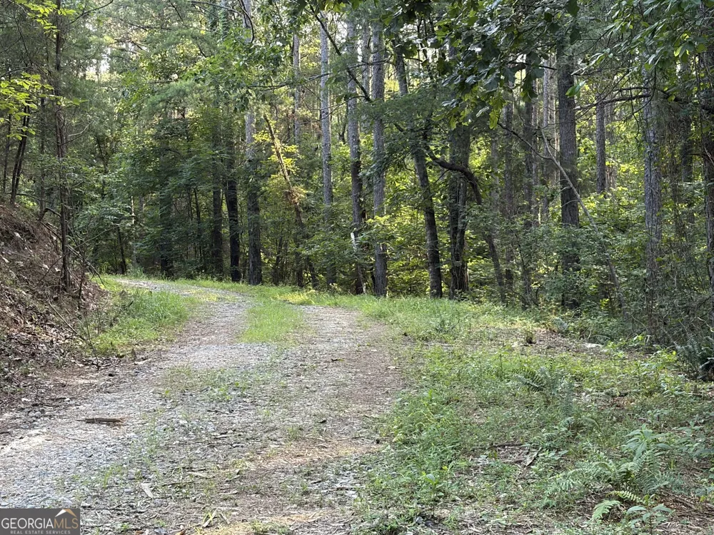 0 Fairmount Highway Fairmount, GA 30139