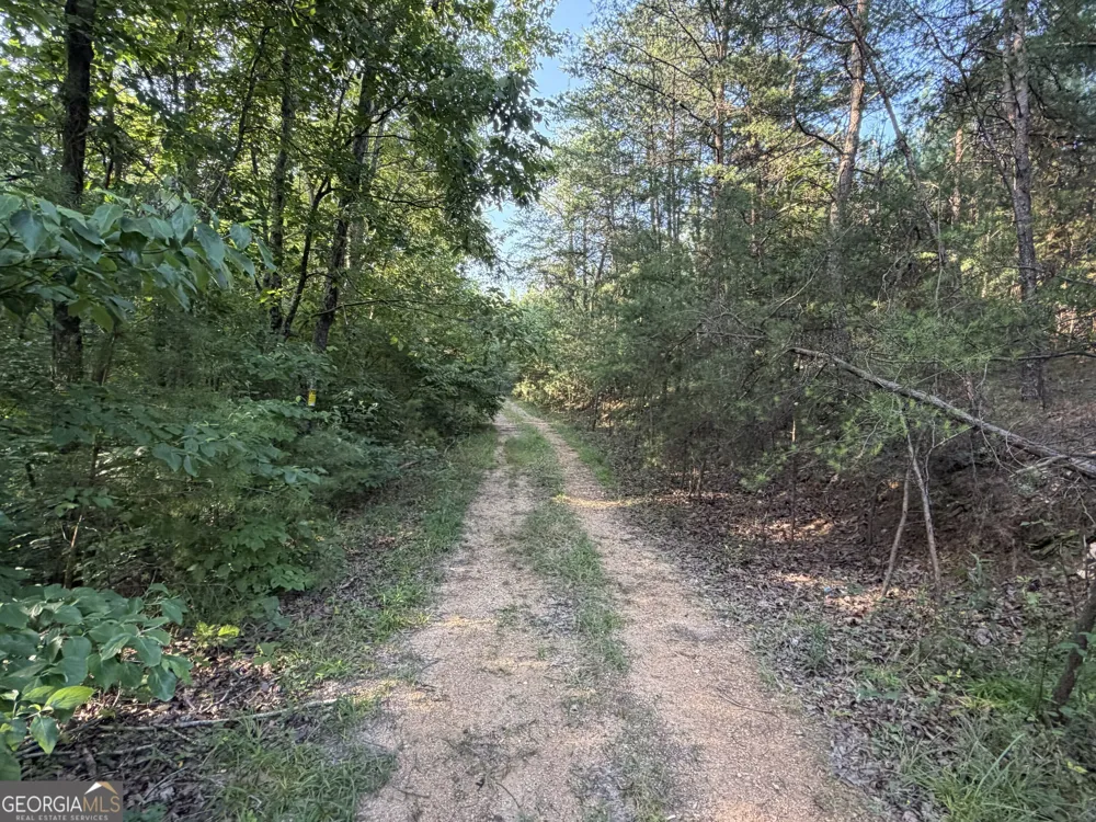 0 Fairmount Highway Fairmount, GA 30139