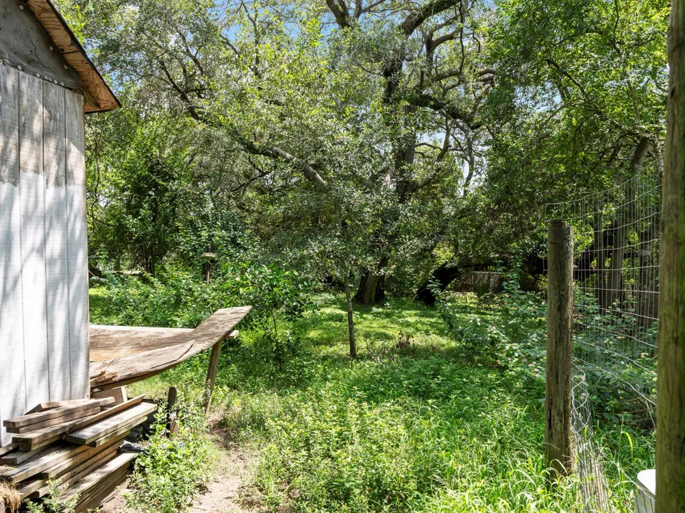334 Old River Road Palacios, TX 77465