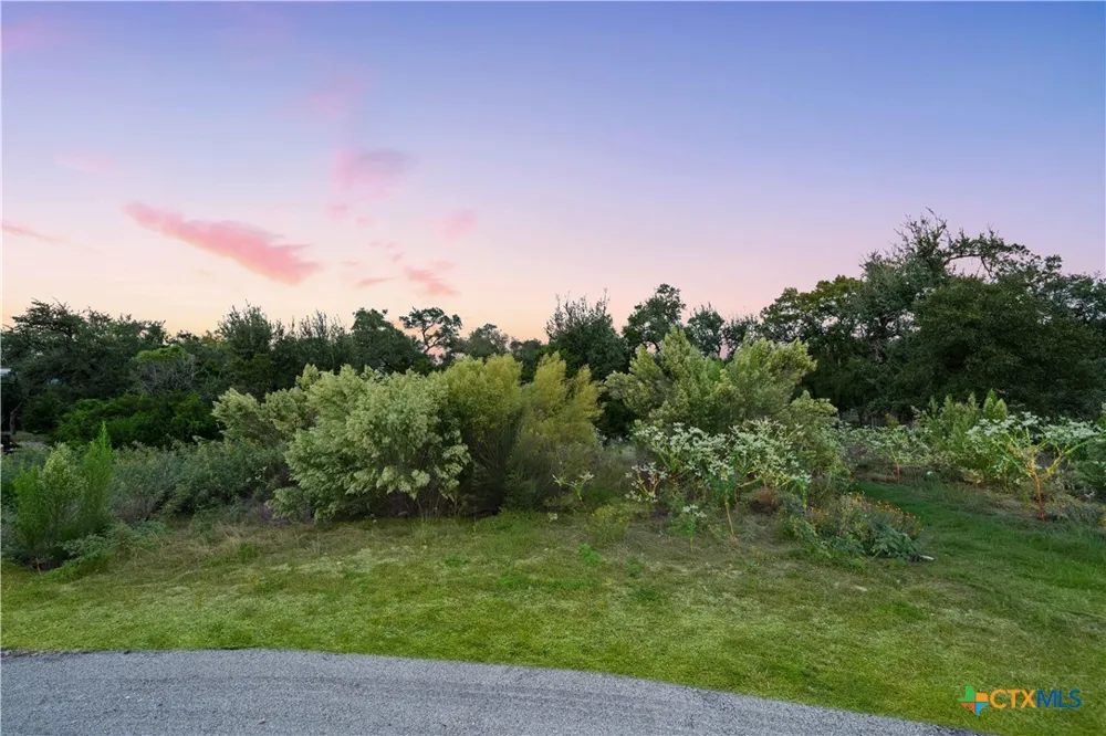 287 Brook Canyon New Braunfels, TX 78132