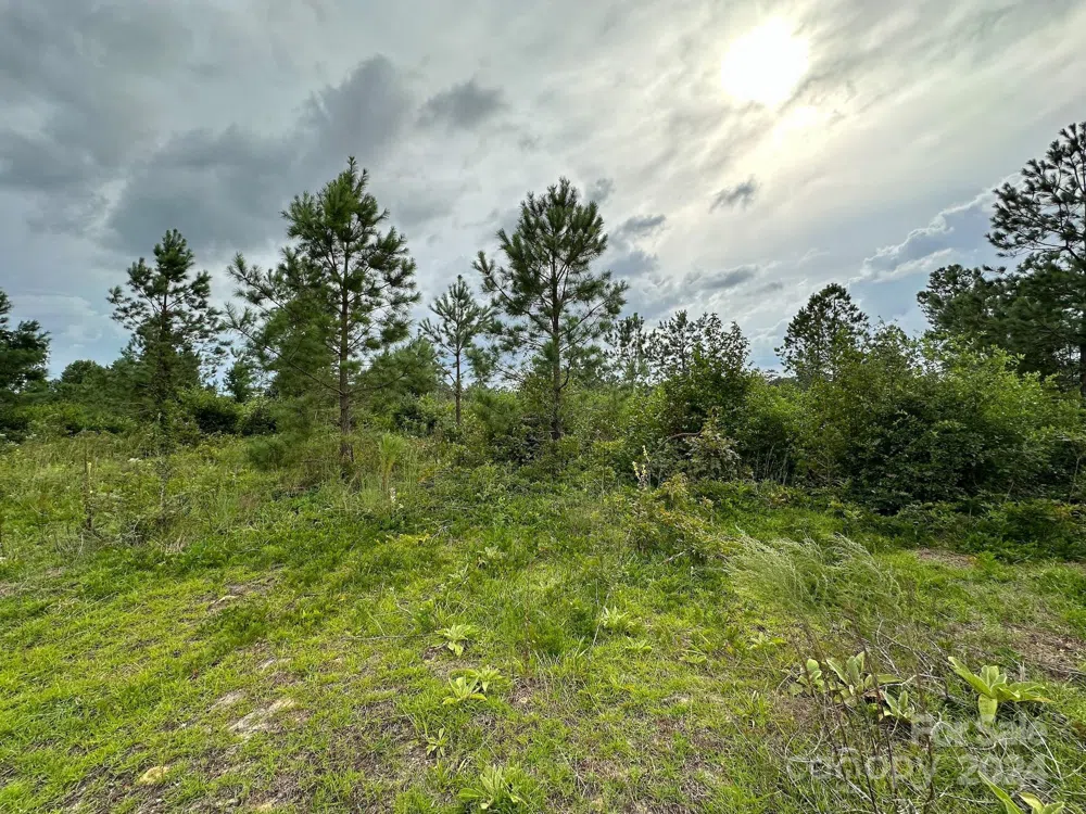 110 Haywood Cemetery Road Rockingham, NC 28379