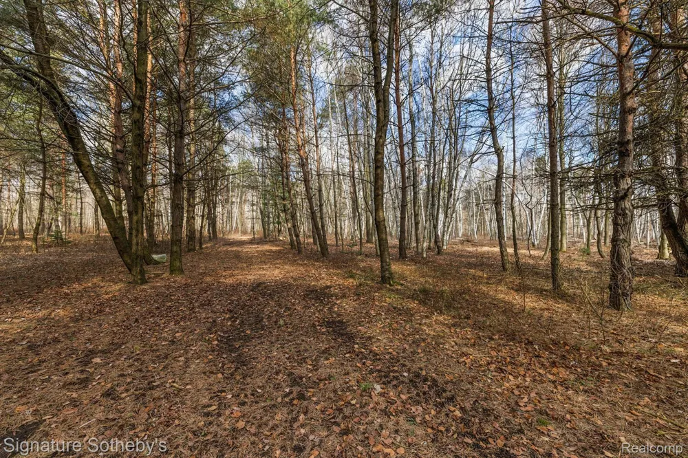 7699 MINNICK ROAD Rubicon Township, MI 48441