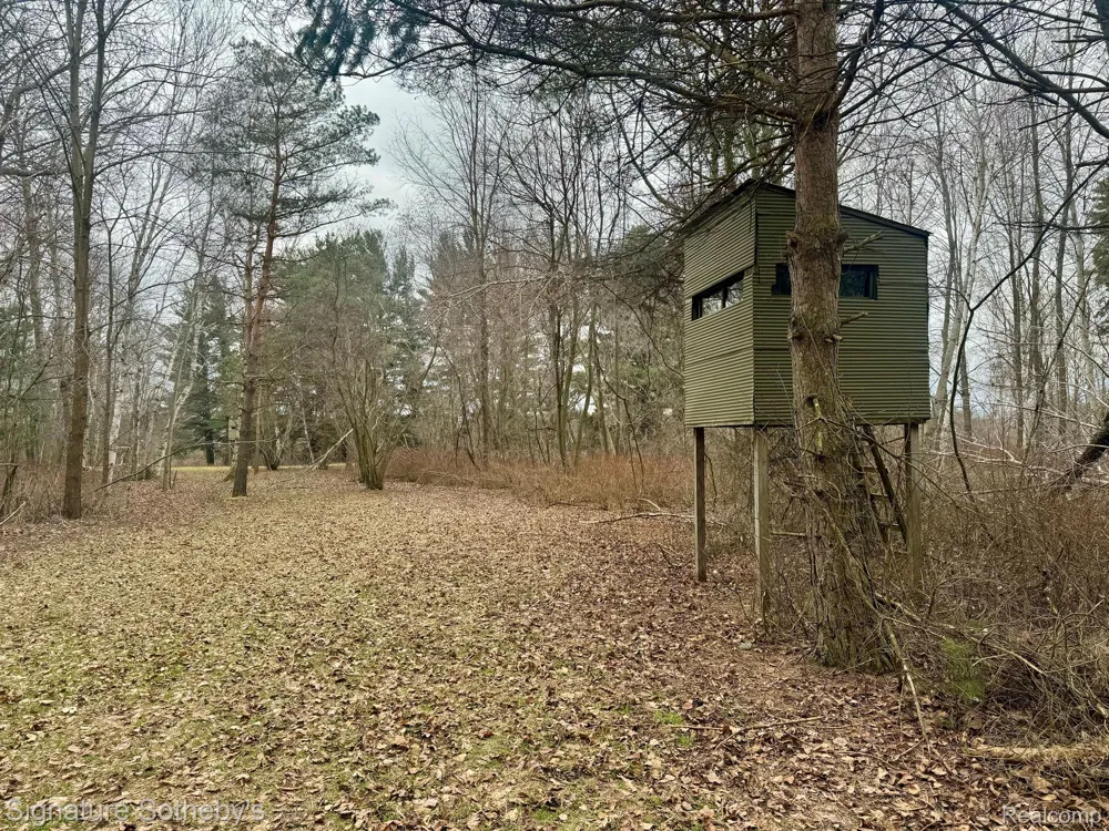 7699 MINNICK ROAD Rubicon Township, MI 48441