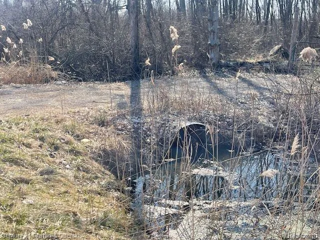 WAHRMAN Romulus City, MI 48174