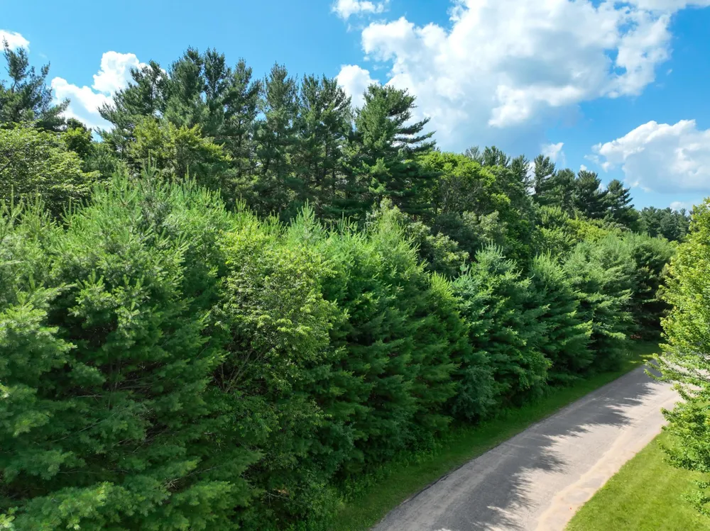 N6929 549th Street Menomonie, WI 54751