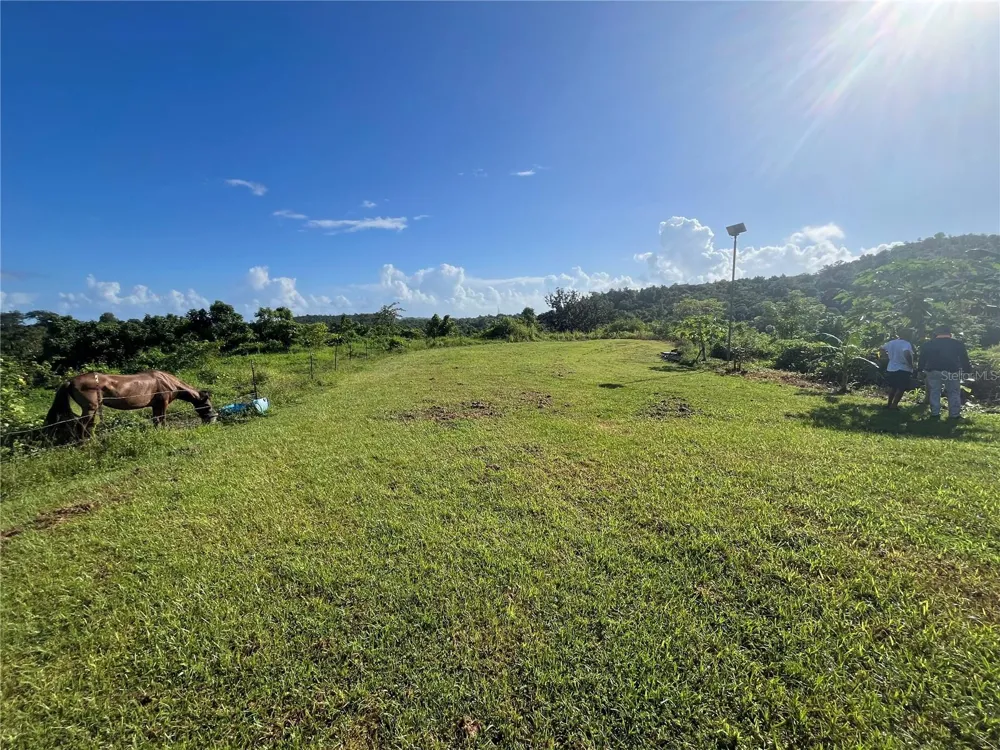 CARR. 857 KM.HM 003 3 BO. CANOVANILLAS Carolina, PR 00987