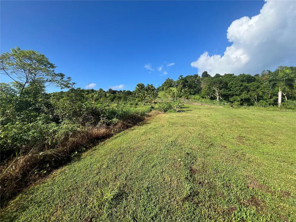 CARR. 857 KM.HM 003 3 BO. CANOVANILLAS Carolina, PR 00987