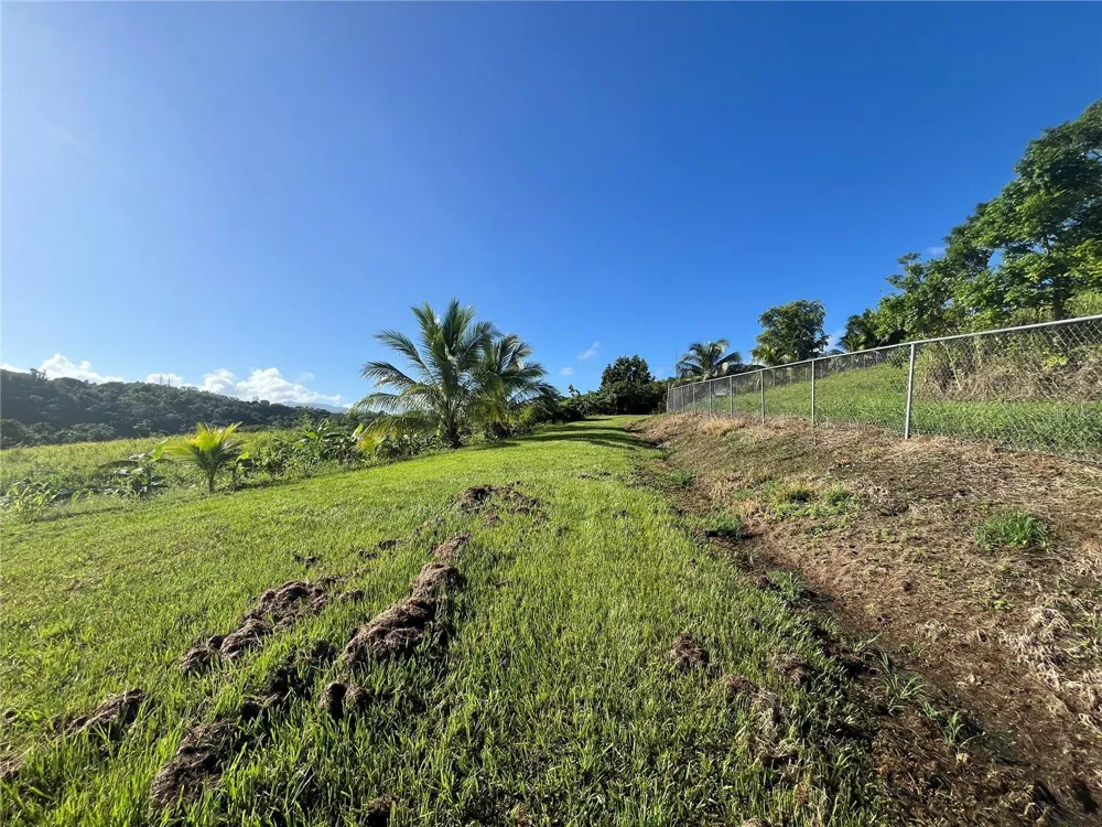 CARR. 857 KM.HM 003 3 BO. CANOVANILLAS Carolina, PR 00987
