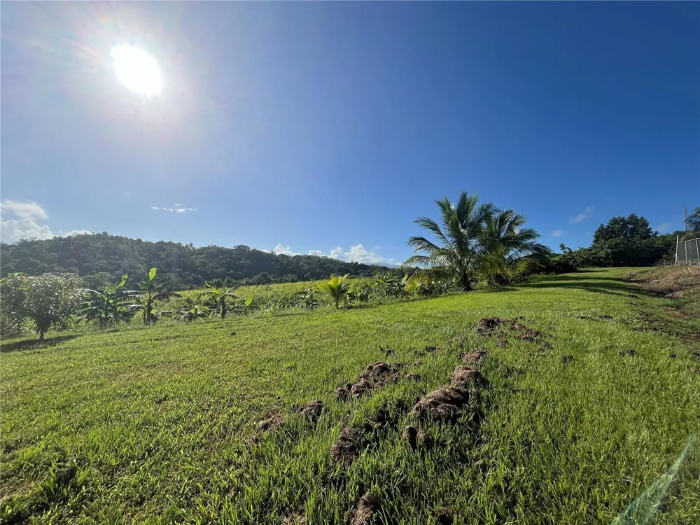 CARR. 857 KM.HM 003 3 BO. CANOVANILLAS Carolina, PR 00987