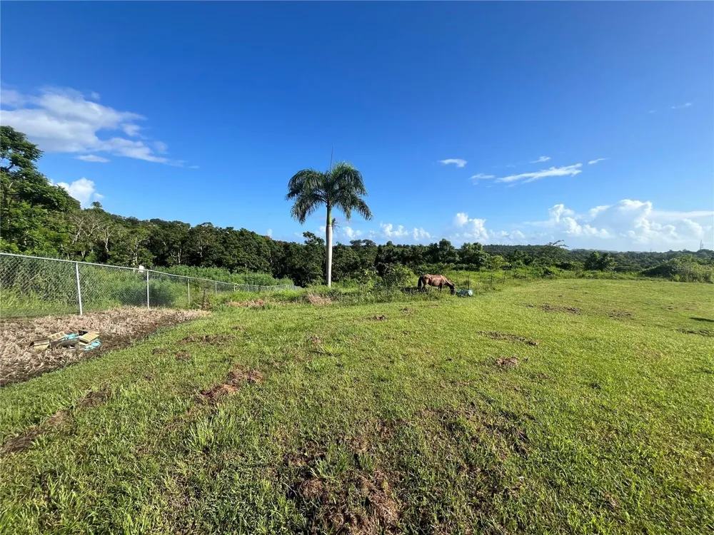 CARR. 857 KM.HM 003 3 BO. CANOVANILLAS Carolina, PR 00987