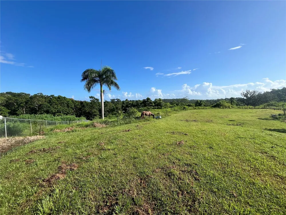 CARR. 857 KM.HM 003 3 BO. CANOVANILLAS Carolina, PR 00987