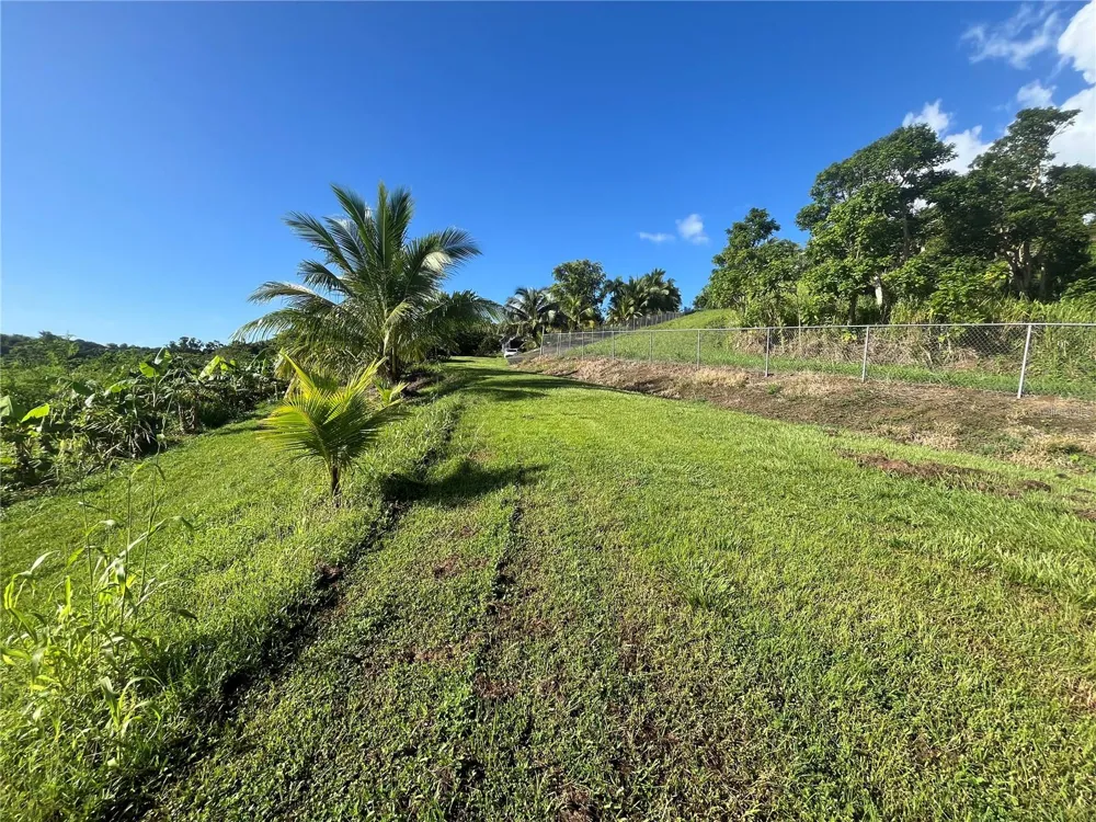 CARR. 857 KM.HM 003 3 BO. CANOVANILLAS Carolina, PR 00987