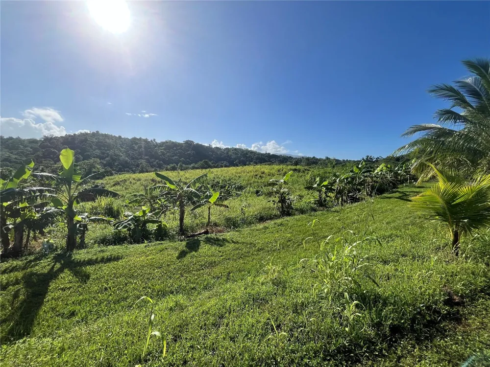 CARR. 857 KM.HM 003 3 BO. CANOVANILLAS Carolina, PR 00987