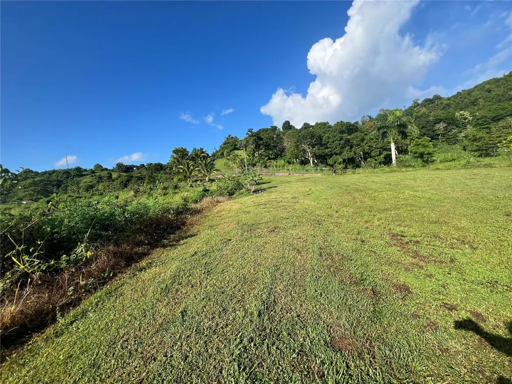 CARR. 857 KM.HM 003 3 BO. CANOVANILLAS Carolina, PR 00987