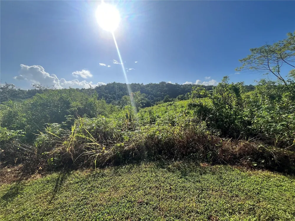 CARR. 857 KM.HM 003 3 BO. CANOVANILLAS Carolina, PR 00987