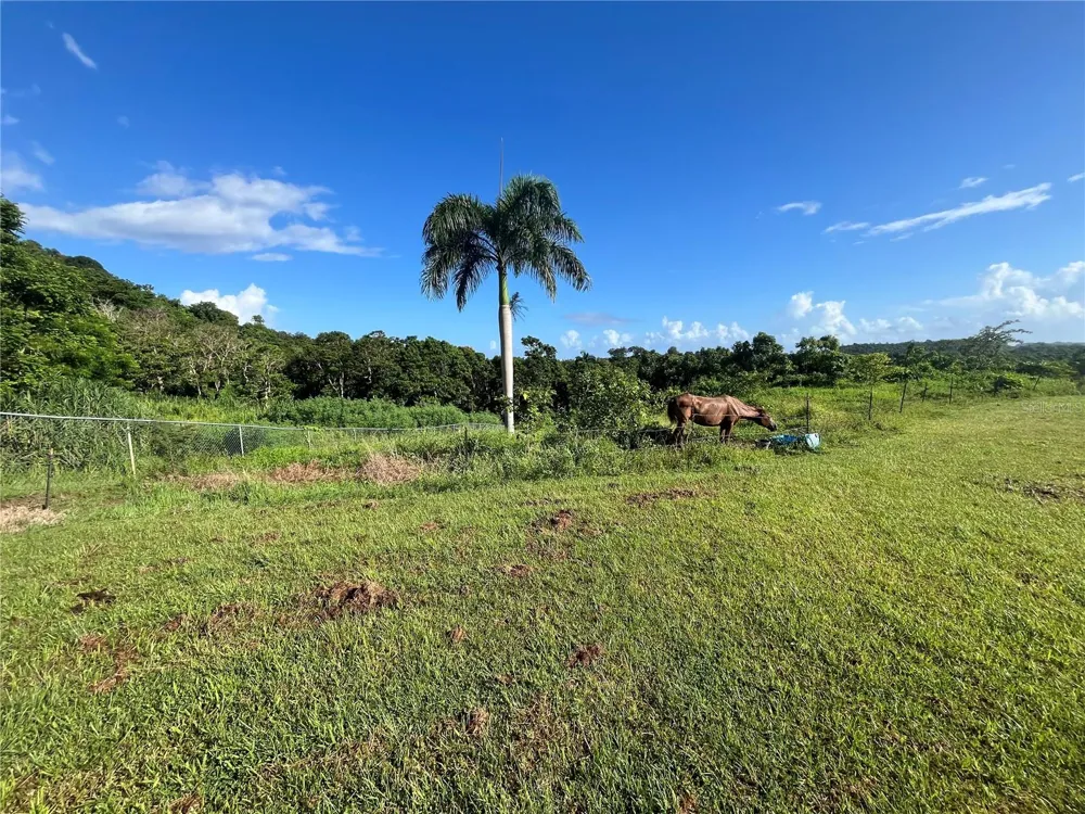 CARR. 857 KM.HM 003 3 BO. CANOVANILLAS Carolina, PR 00987
