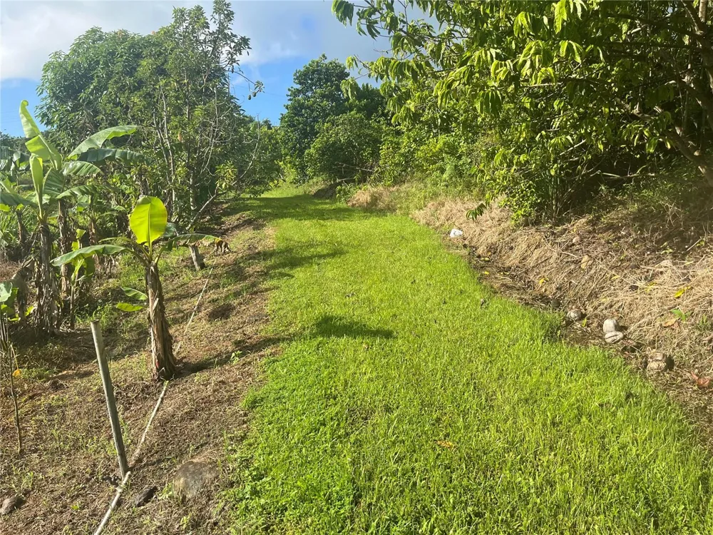 CARR. 857 KM.HM 003 3 BO. CANOVANILLAS Carolina, PR 00987