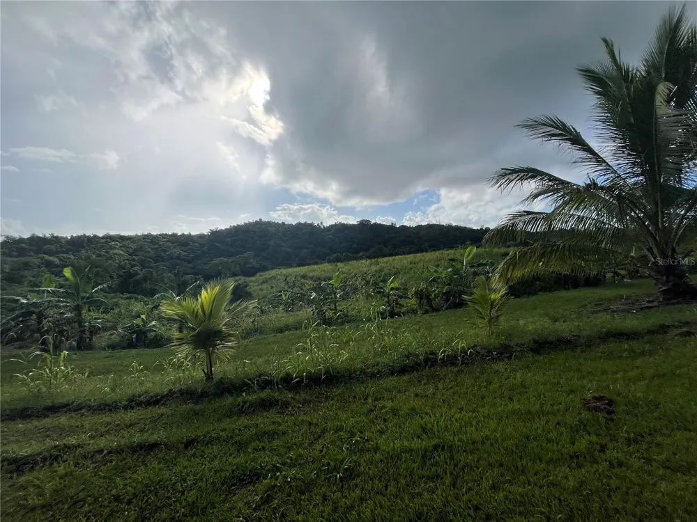 CARR. 857 KM.HM 003 3 BO. CANOVANILLAS Carolina, PR 00987