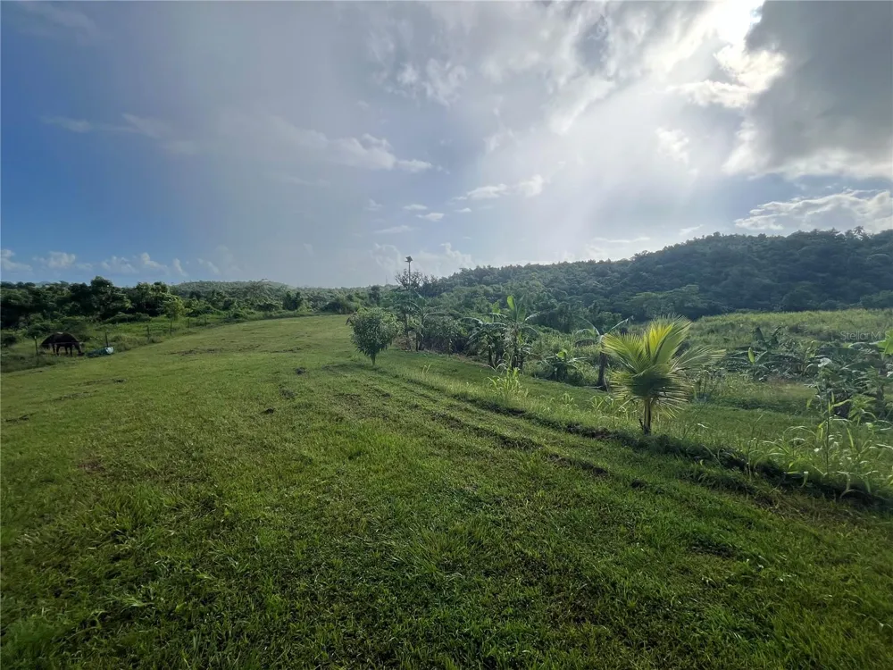 CARR. 857 KM.HM 003 3 BO. CANOVANILLAS Carolina, PR 00987