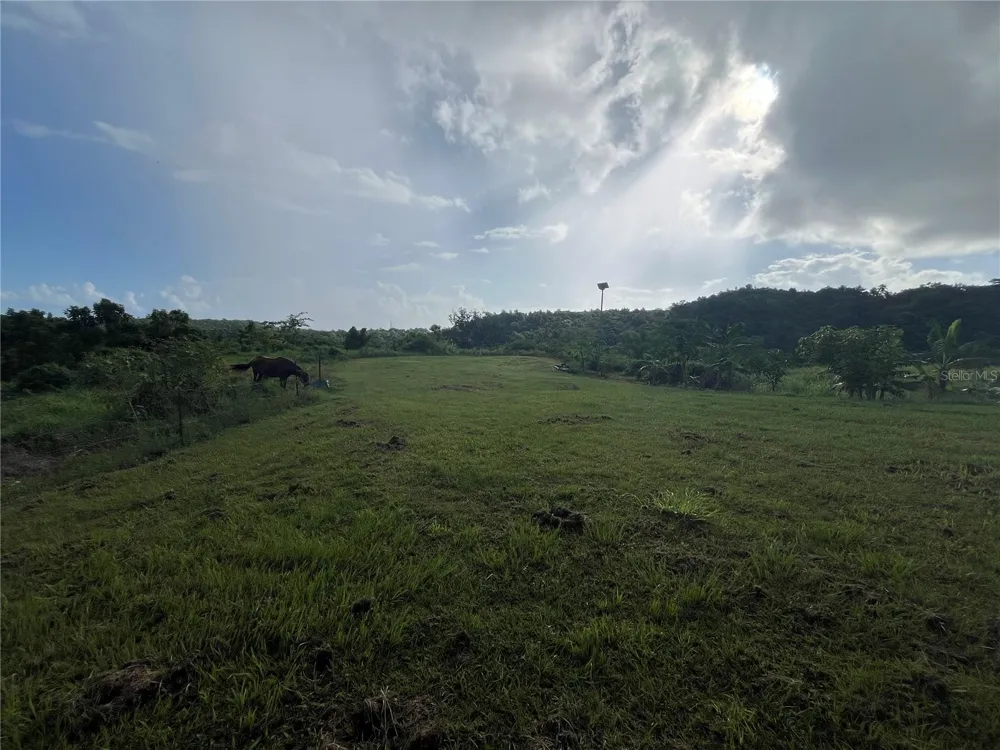 CARR. 857 KM.HM 003 3 BO. CANOVANILLAS Carolina, PR 00987