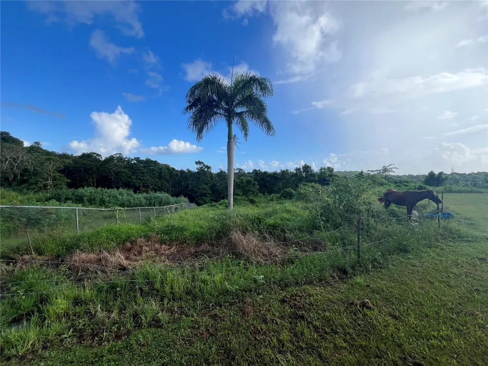 CARR. 857 KM.HM 003 3 BO. CANOVANILLAS Carolina, PR 00987