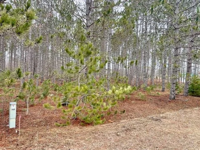 Meadow Lane Colfax Township, MI 49683