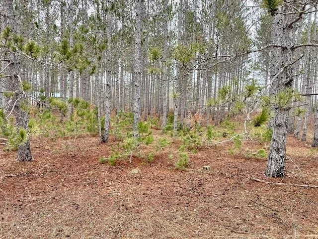 Meadow Lane Colfax Township, MI 49683