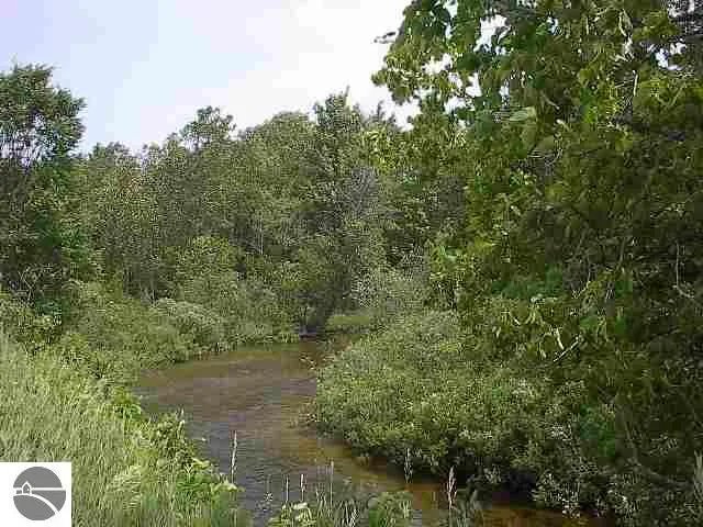 Meadow Lane Colfax Township, MI 49683