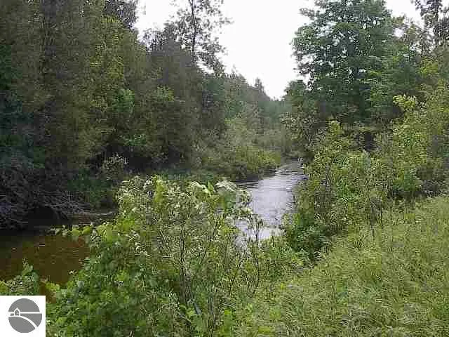 Meadow Lane Colfax Township, MI 49683