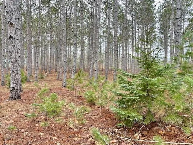 Meadow Lane Colfax Township, MI 49683