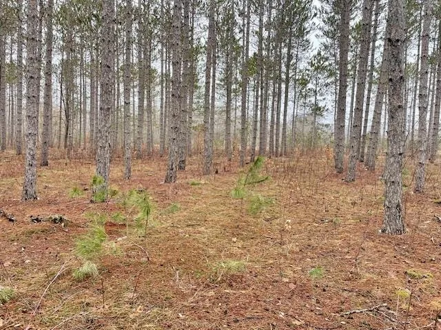 Meadow Lane Colfax Township, MI 49683