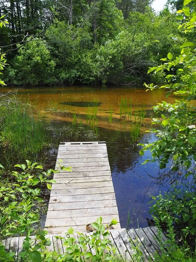 Meadow Lane Colfax Township, MI 49683