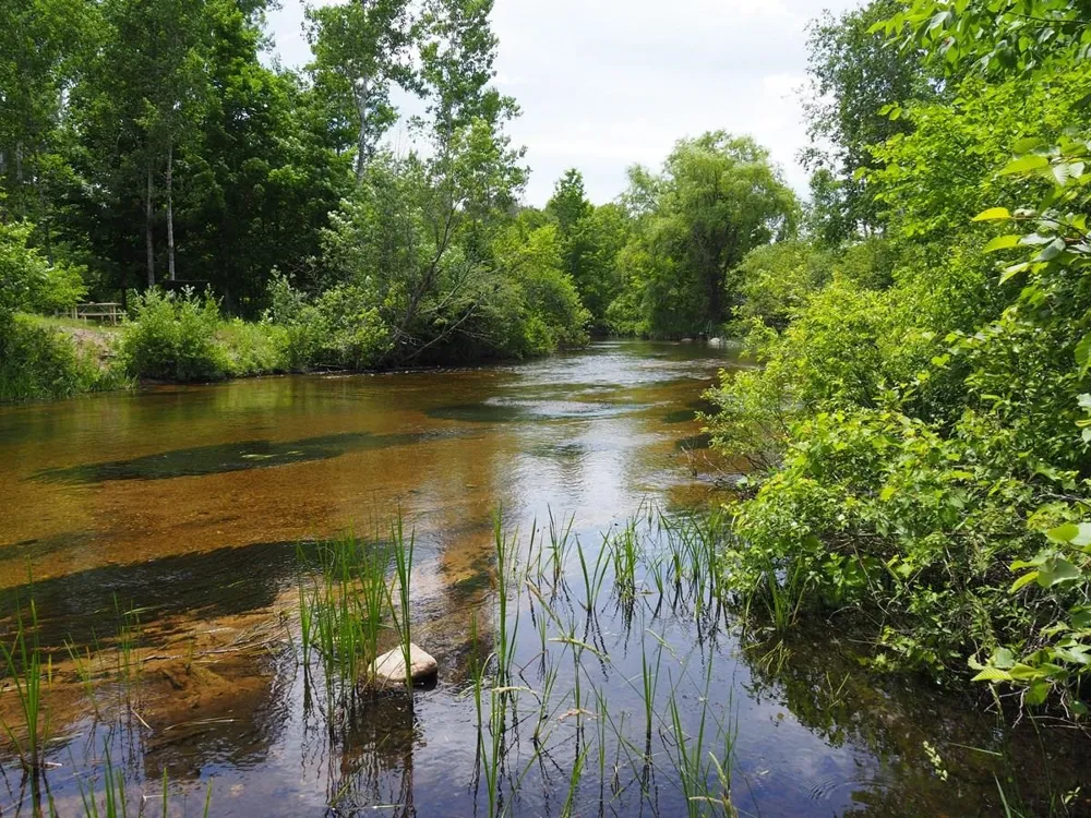 Meadow Lane Colfax Township, MI 49683