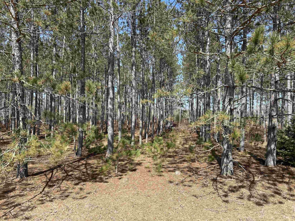 Meadow Lane Colfax Township, MI 49683