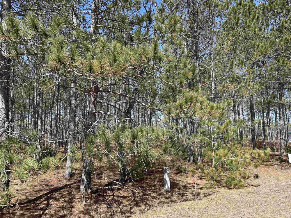 Meadow Lane Colfax Township, MI 49683