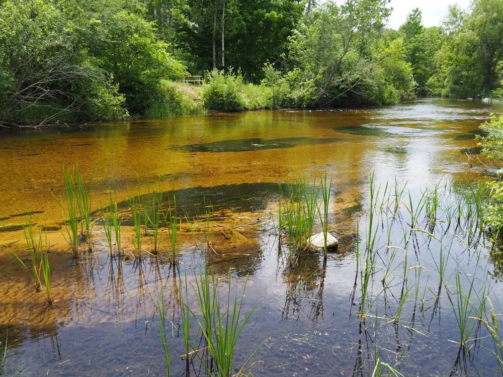 Meadow Lane Colfax Township, MI 49683