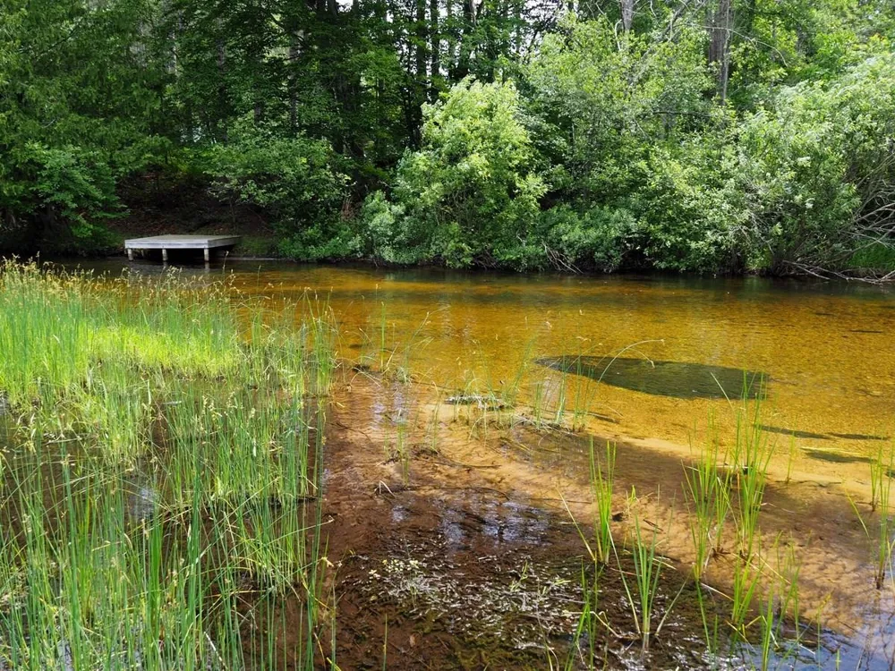 Meadow Lane Colfax Township, MI 49683